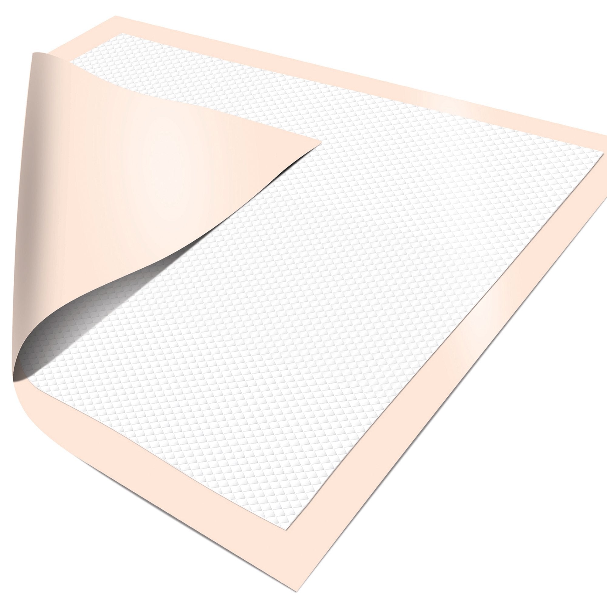Disposable Underpad Dignity® Ultrashield® Premium 30 X 30 Inch Fluff / Polymer Moderate Absorbency - image 2