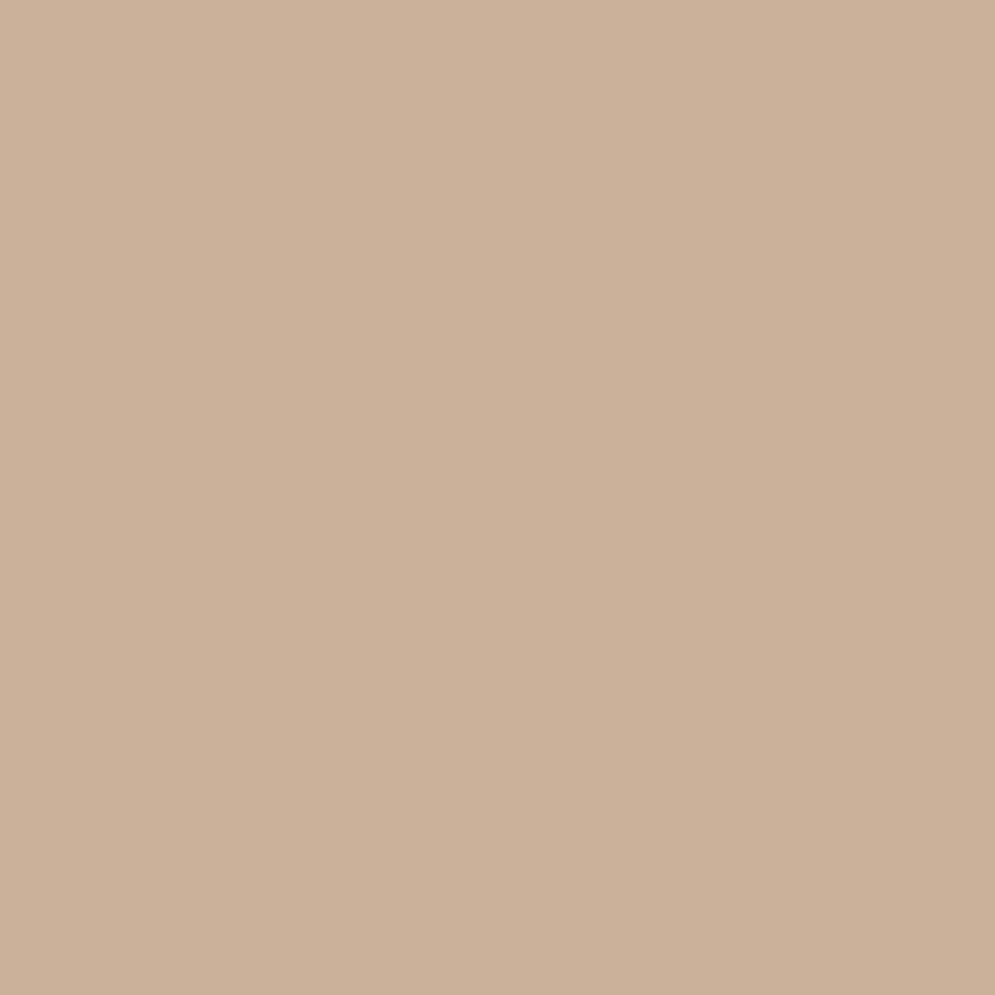 McKesson Tan Wool / Rayon Adhesive Orthopedic Felt Roll, 6 Inch x 2-1/2 Yard (1 Unit)