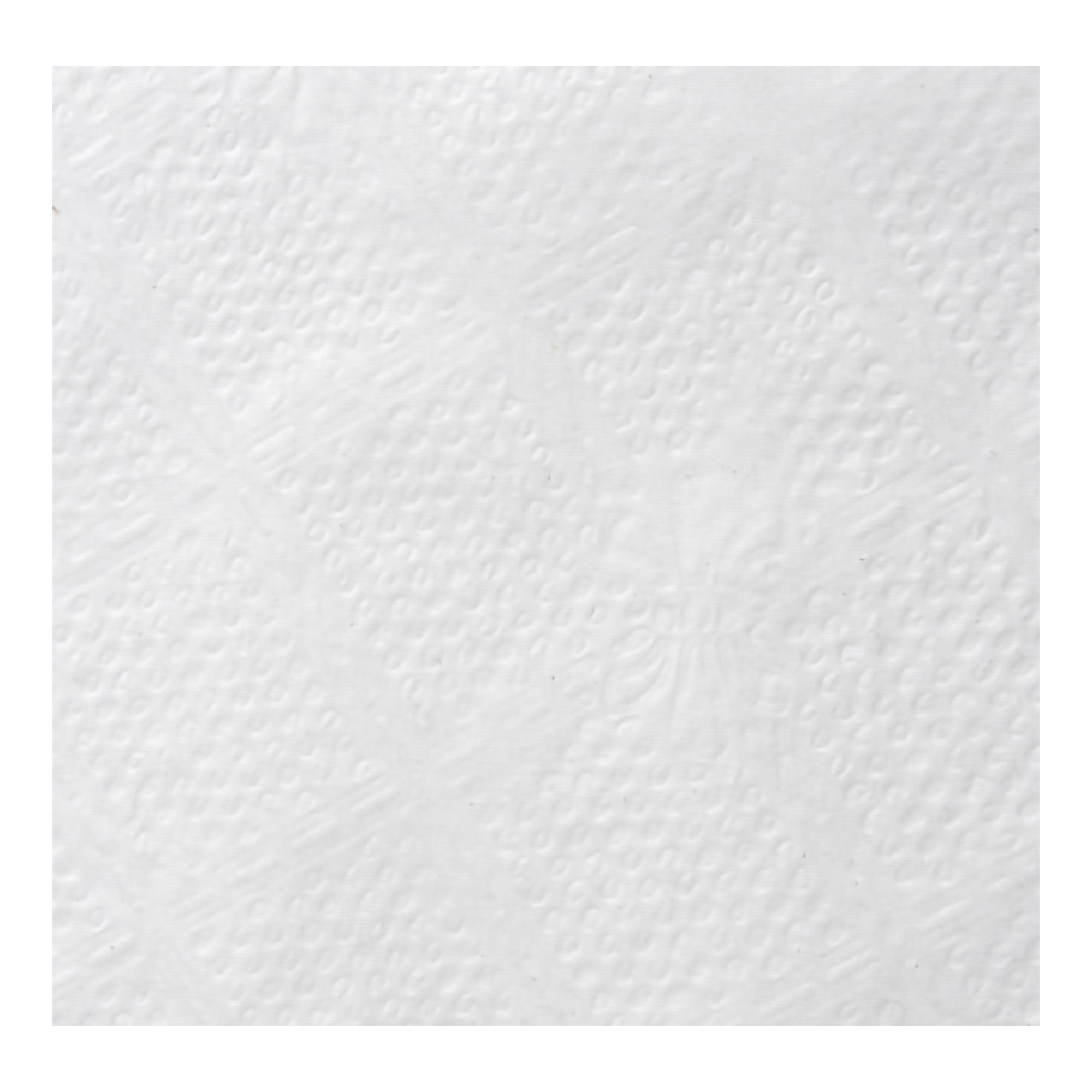 Dixie® Luncheon Napkin
