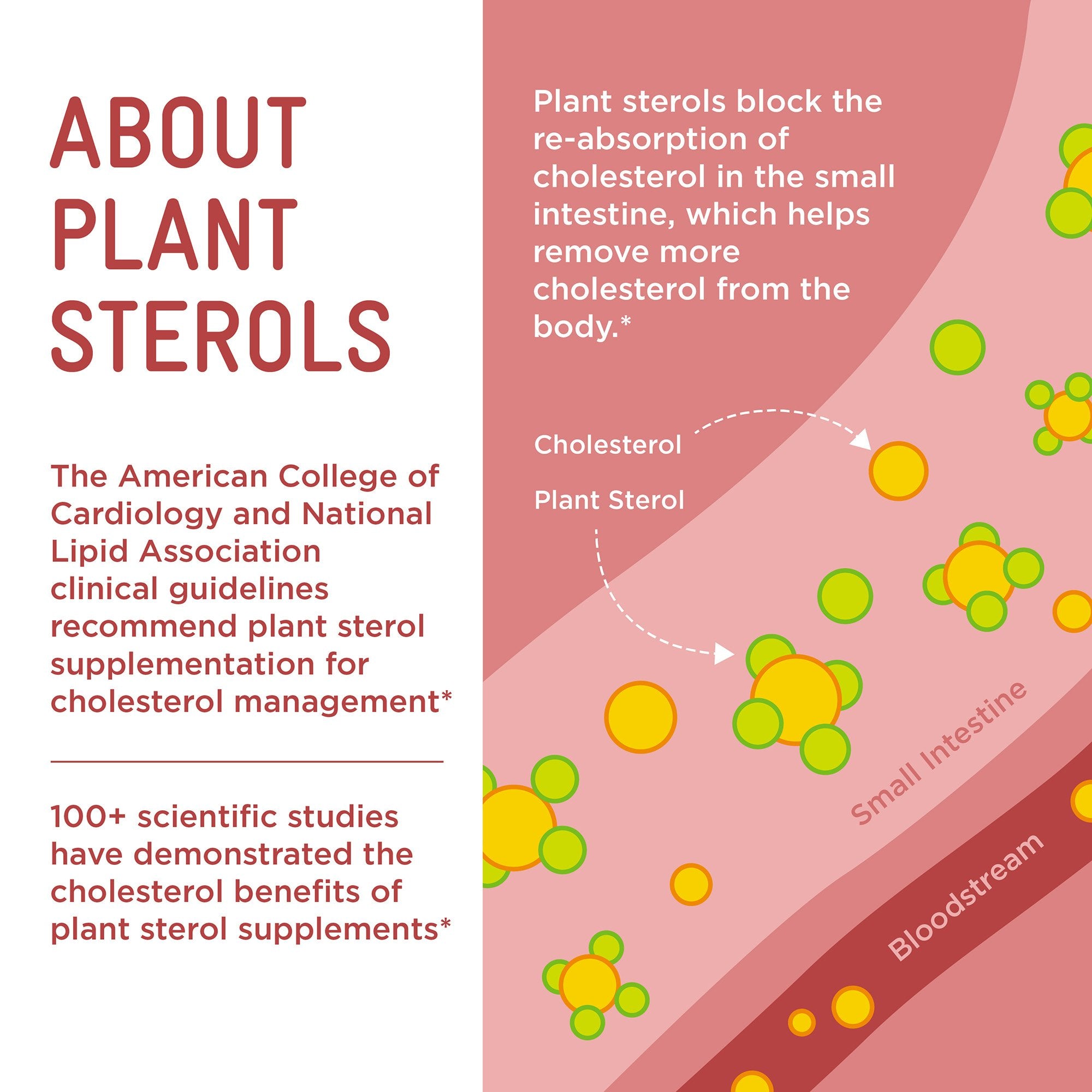 Dietary Supplement PIPER LDL® Healthy Cholesterol Plant Sterols 1.14 g Strength Gummy 4 Per Pack Fruit Flavor - image 6