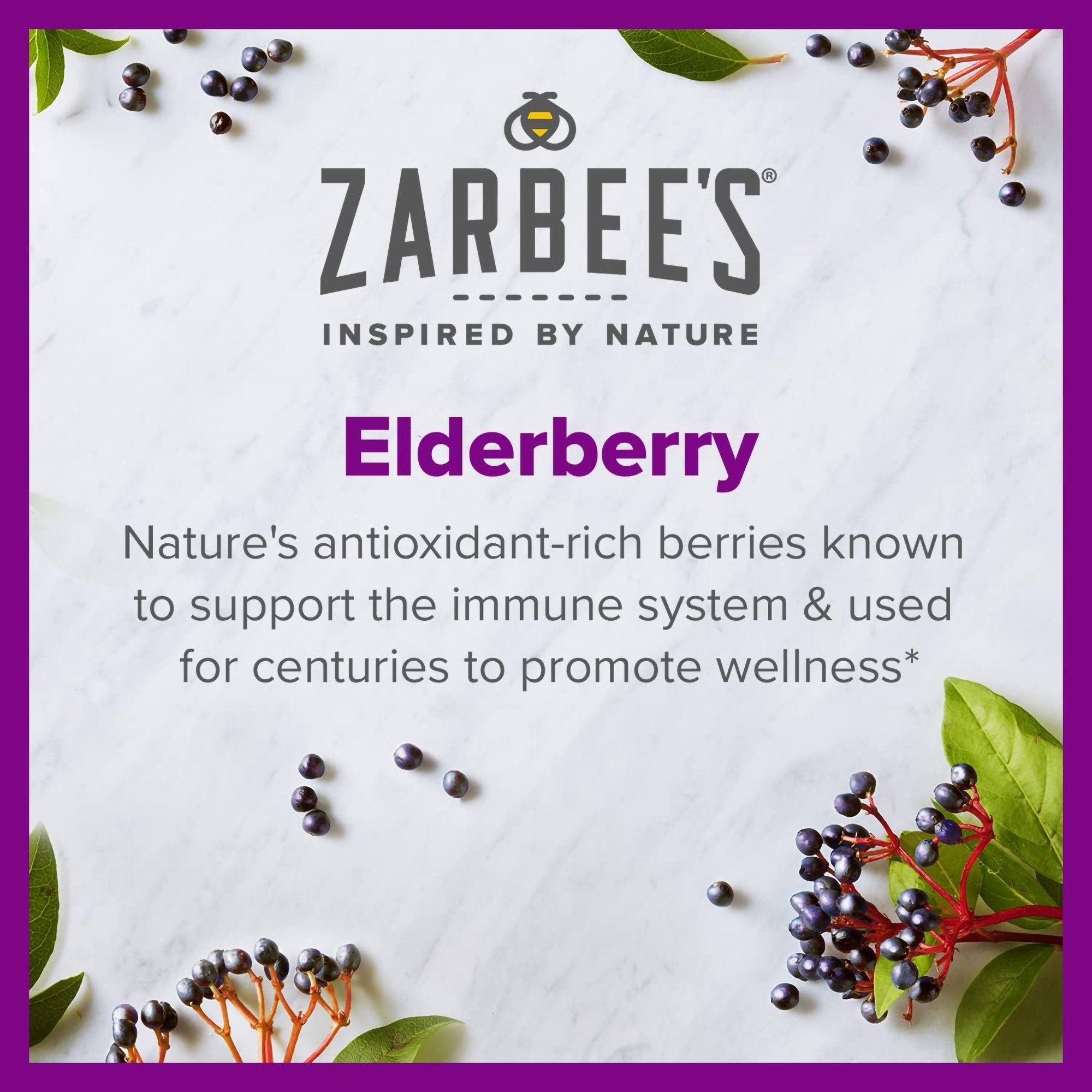Cold and Cough Relief Zarbee's® Daily Immune Support 356 mg Strength Syrup 8 oz. - image 4