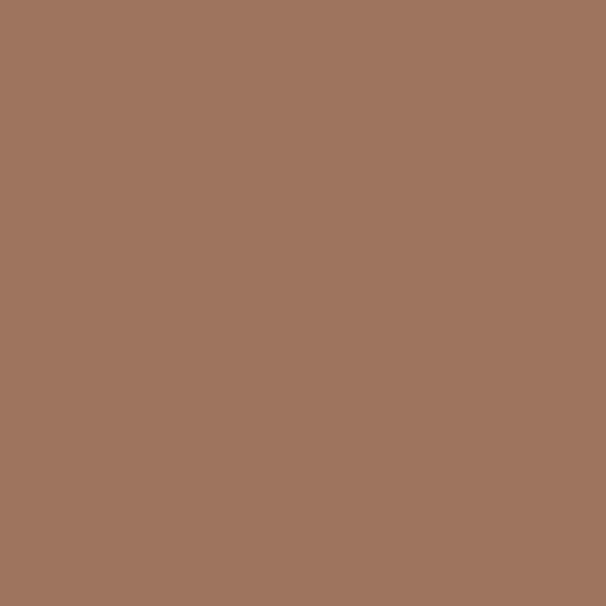 Cohesive Bandage 3M™ Coban™ 1 Inch X 5 Yard Self-Adherent Closure Tan NonSterile Standard Compression - image 4
