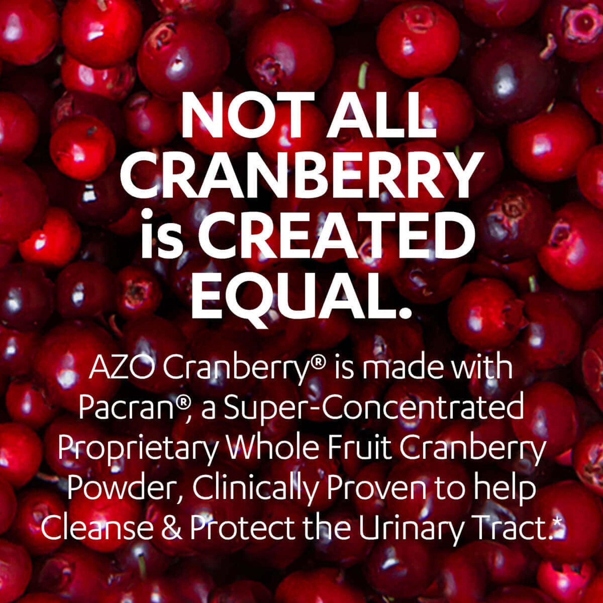 AZO Cranberry® Urinary Tract Health Supplement (1 Unit)