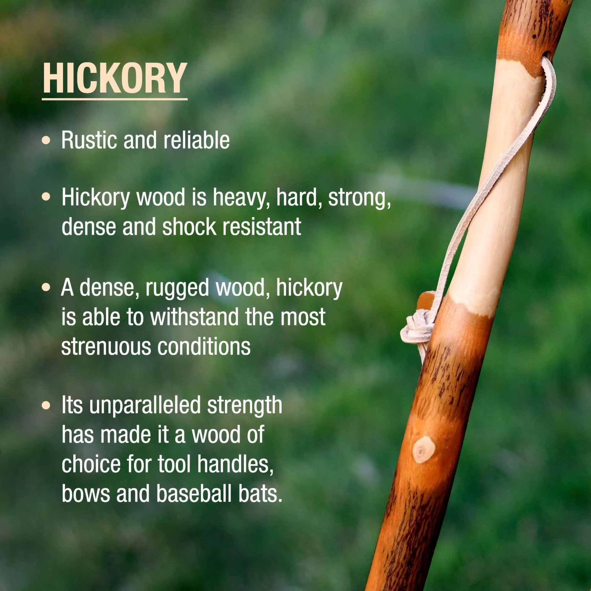 Brazos™ Twisted Hickory Rustic Walking Stick, 41-Inch (1 Unit)