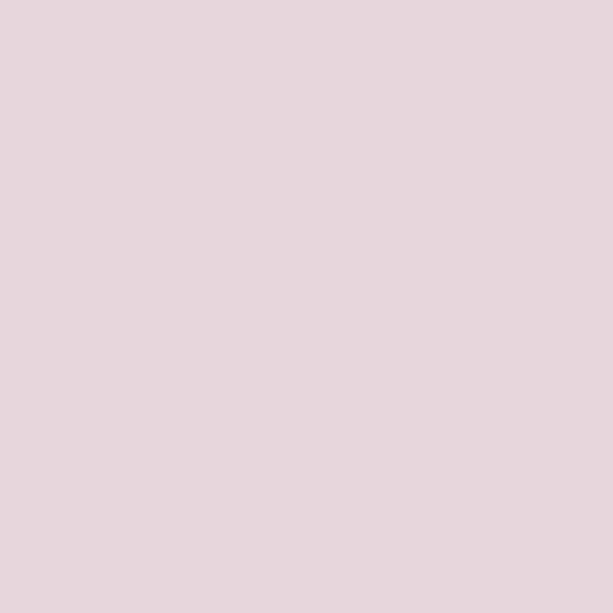 McKesson Exam Cape, Mauve (100 Units)