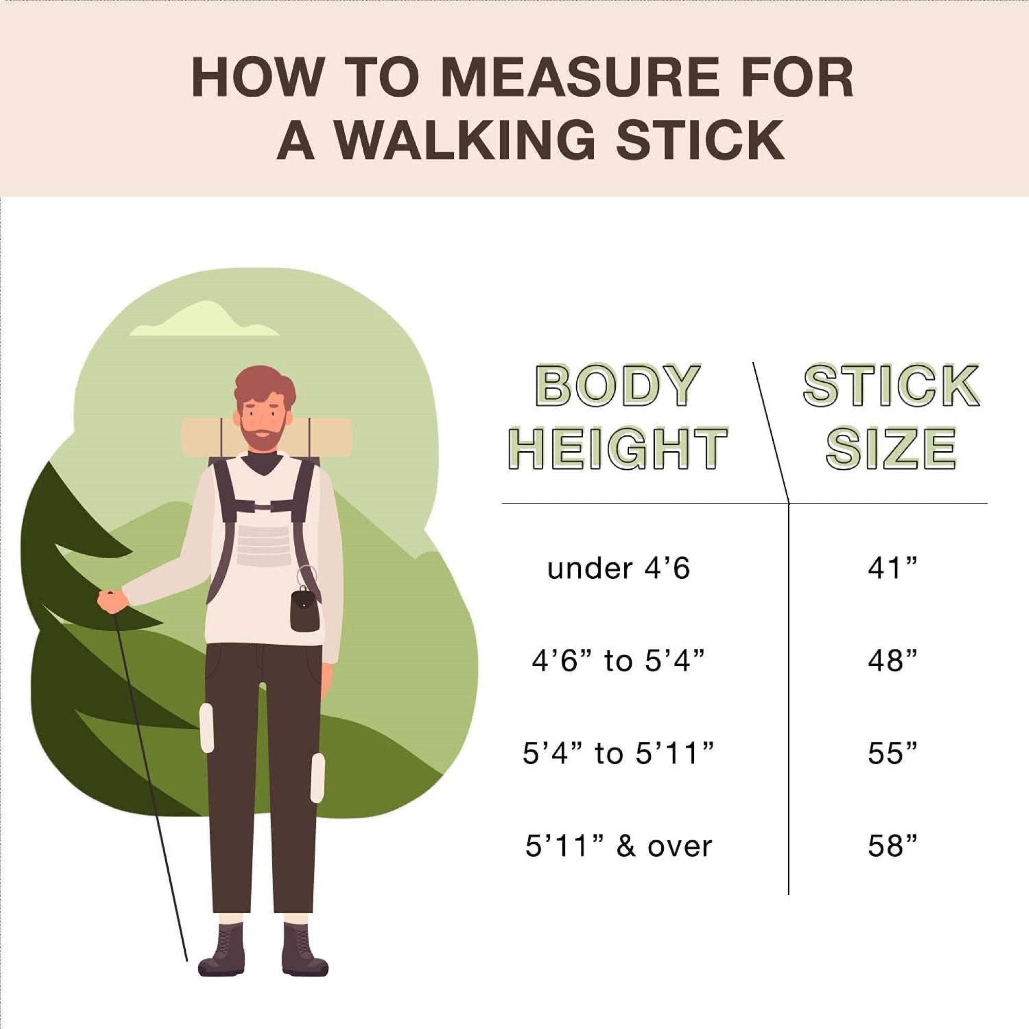 Brazos™ Free Form Safari Walking Stick, 55-Inch Height (1 Unit)