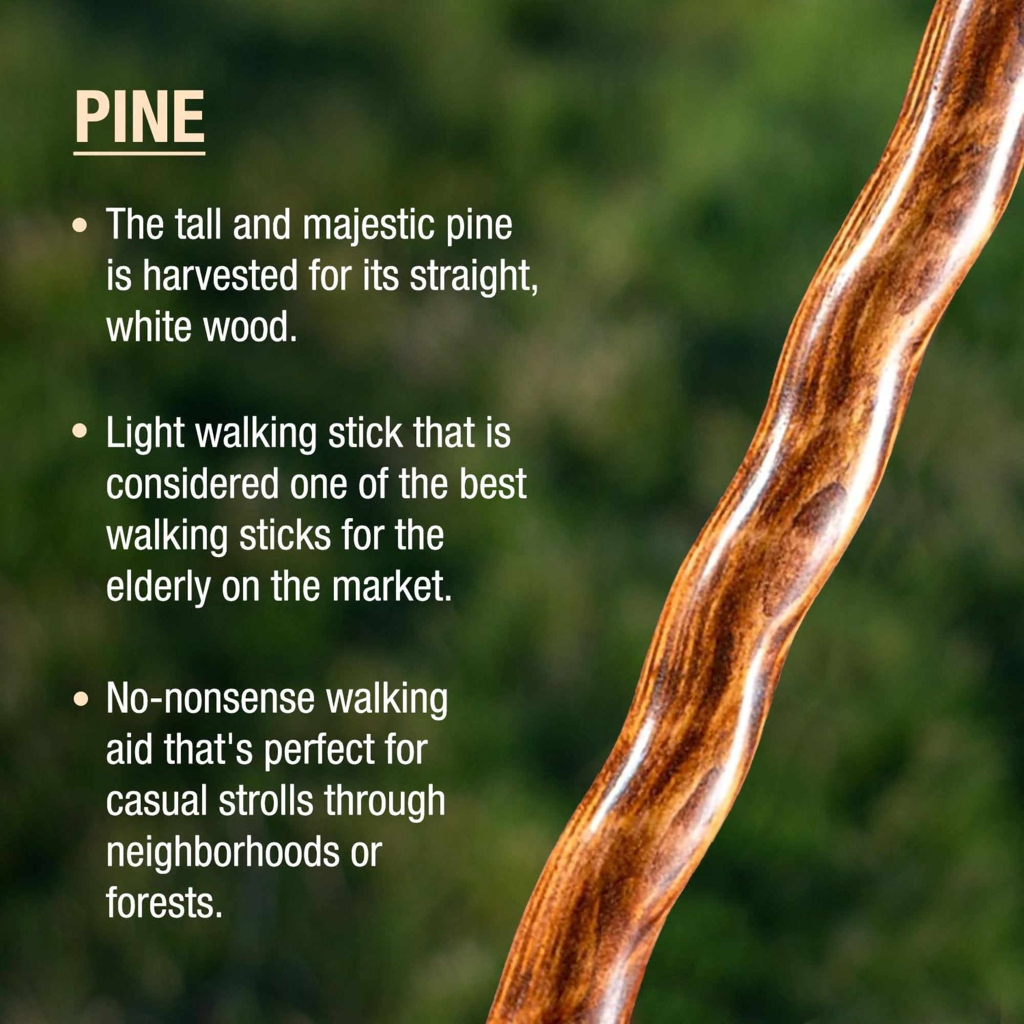 Brazos™ Twisted Pine Handcrafted Walking Stick, 55-Inch (1 Unit)