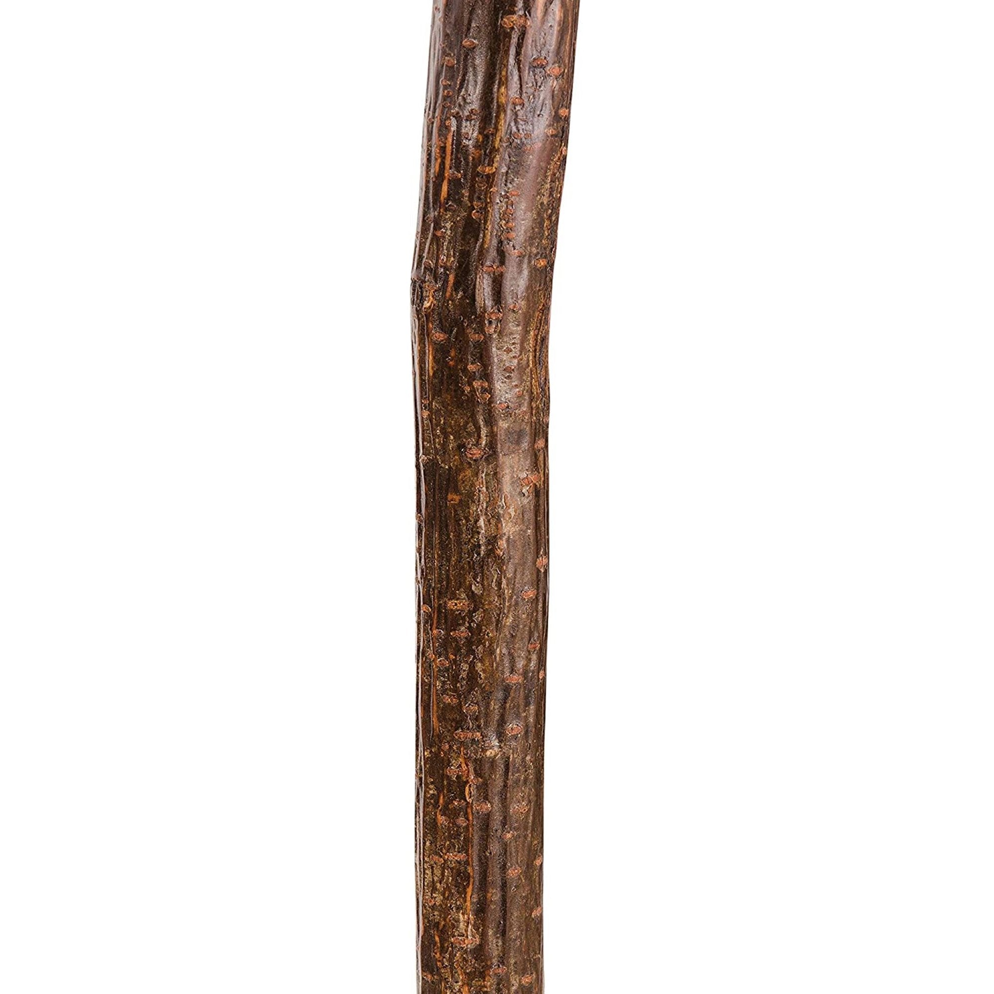 Brazos™ Natural Hardwood Knob Root Free-Form Walking Cane, 37-Inch Height (1 Unit)