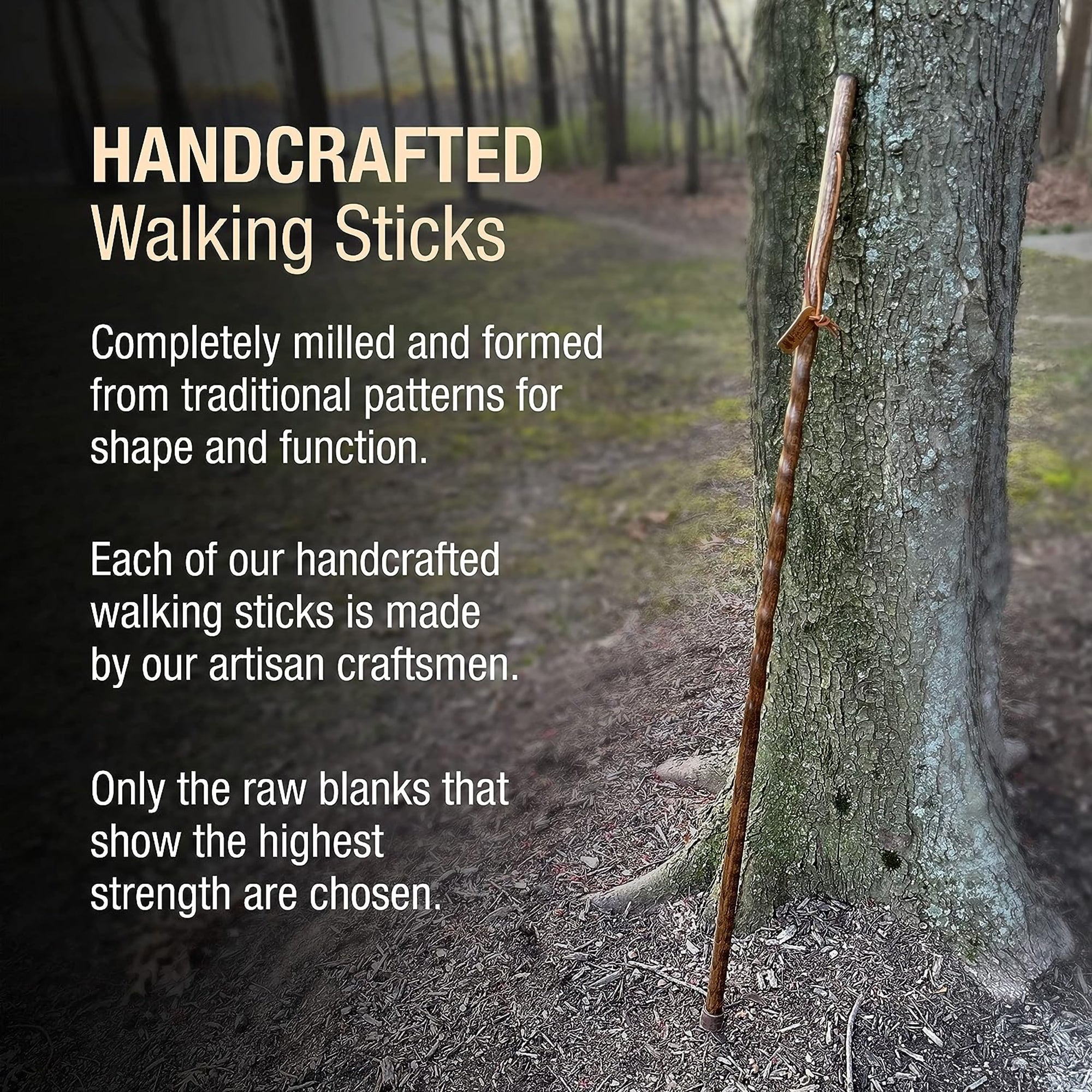 Brazos™ Twisted Oak Trekker Handcrafted Walking Stick, Red, 55-Inch (1 Unit)