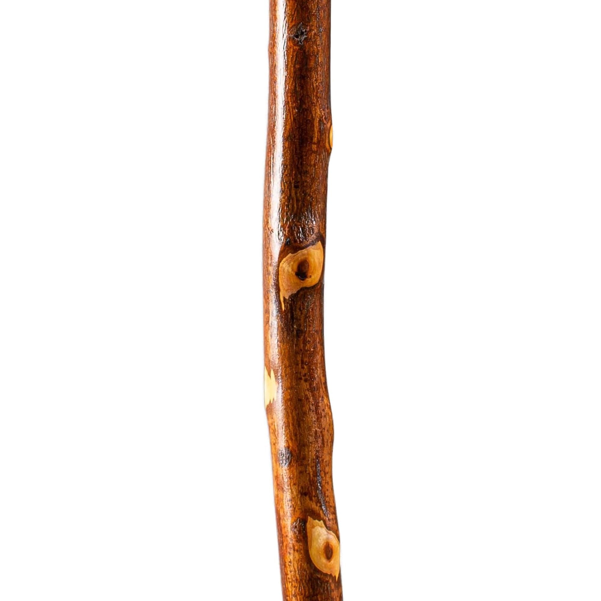 Brazos™ Hawthorn Rustic Walking Stick, 55-Inch Height (1 Unit)