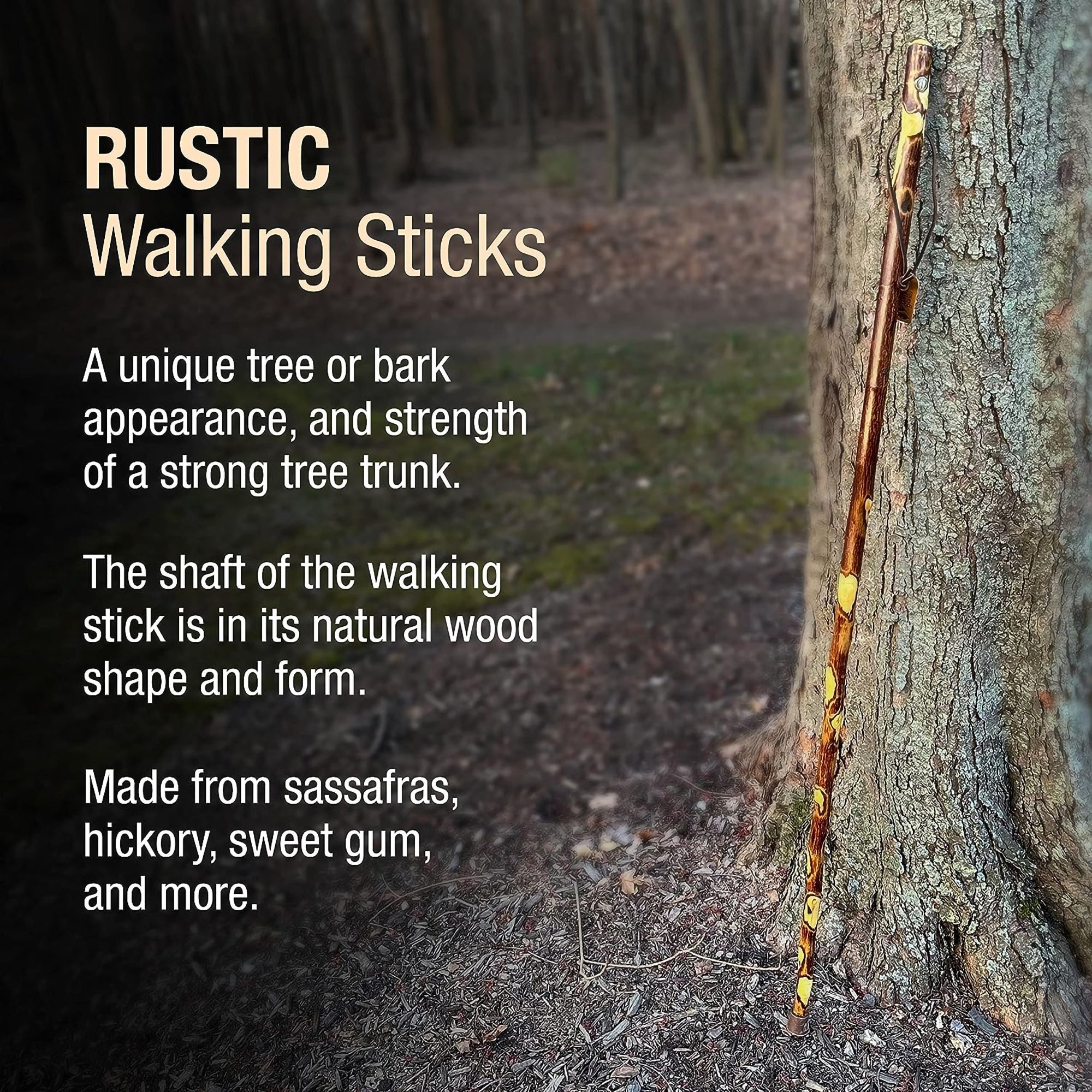 Brazos™ Hawthorn Rustic Walking Stick, 58-Inch Height (1 Unit)