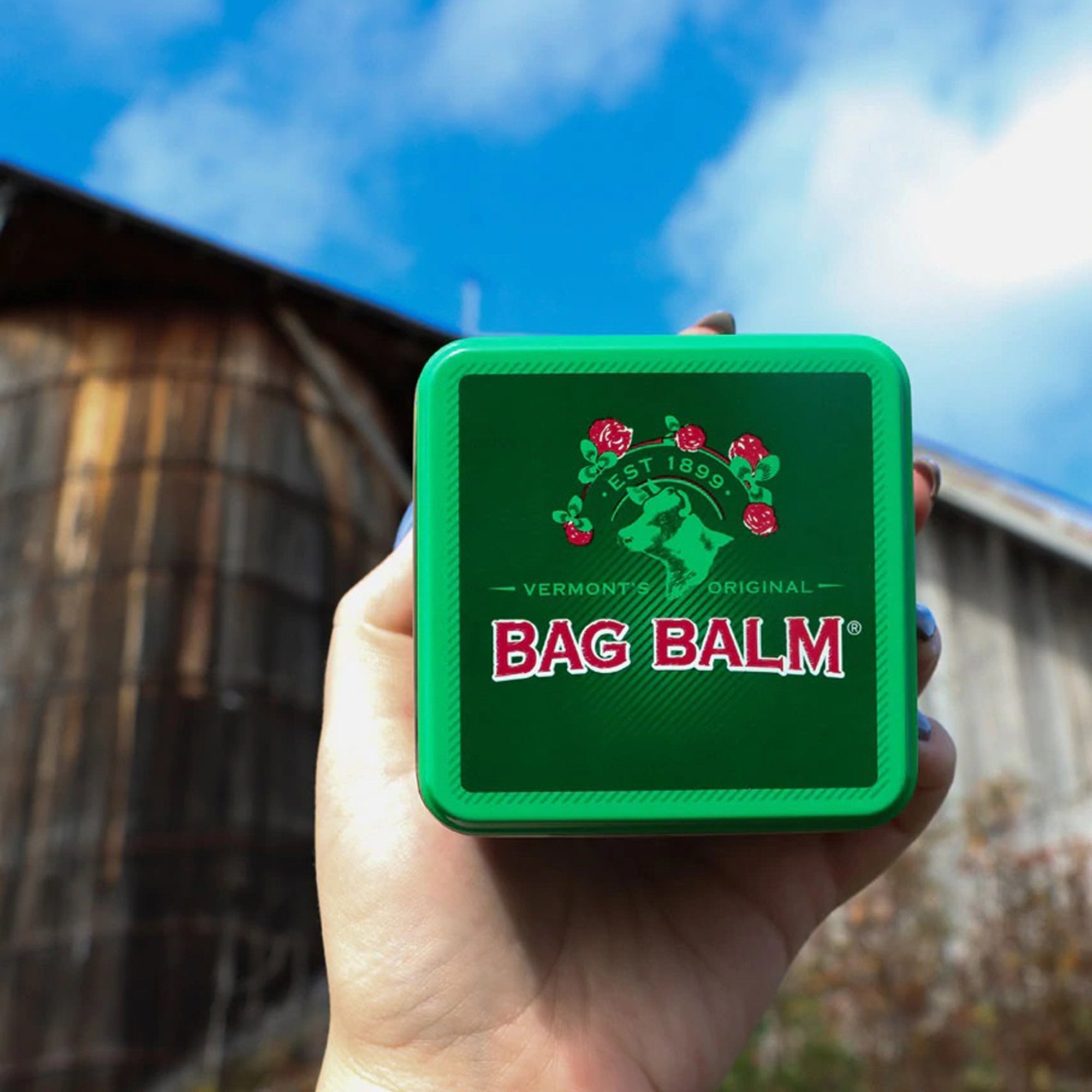 Bag Balm® Original Skin Moisturizer, 8 oz. (1 Unit)