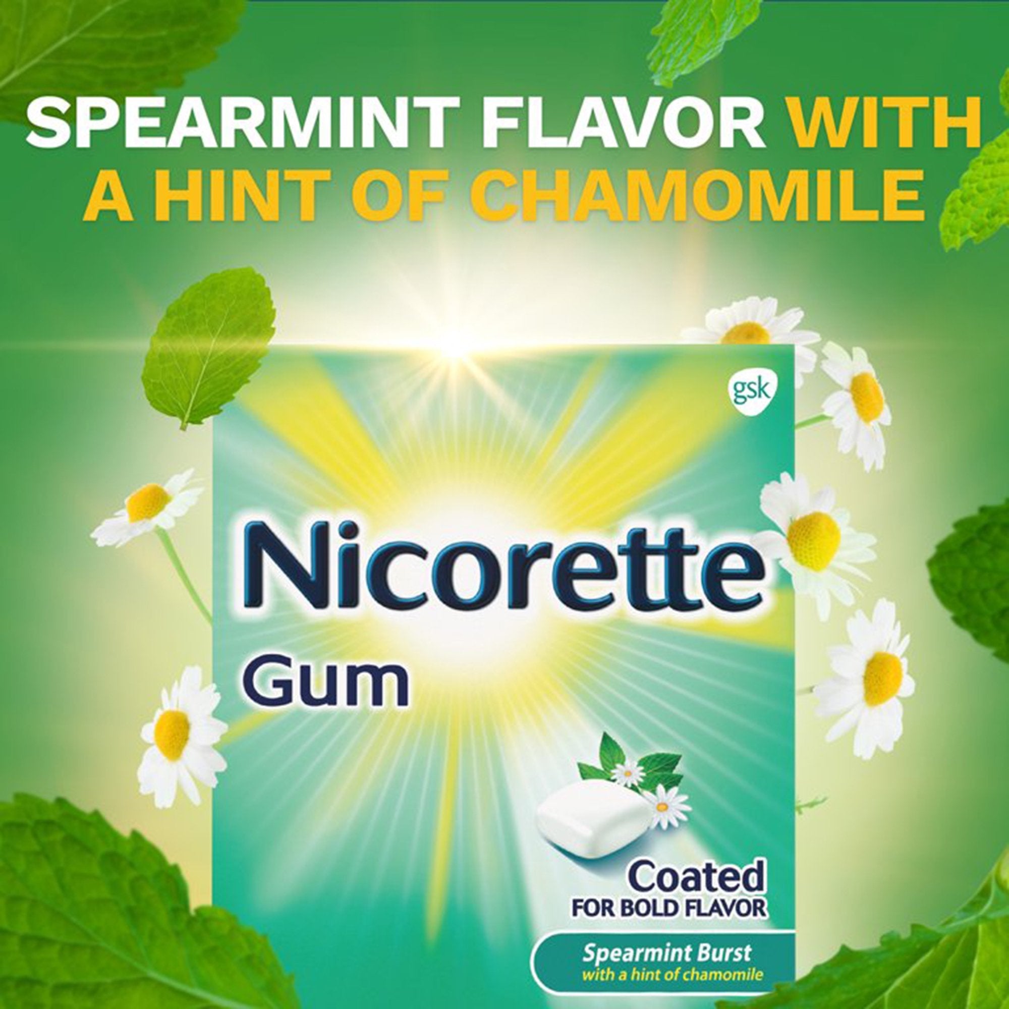 Nicorette Stop Smoking Aid Gum 4 mg Spearmint Burst with a Hint of Chamomile (100 Units)