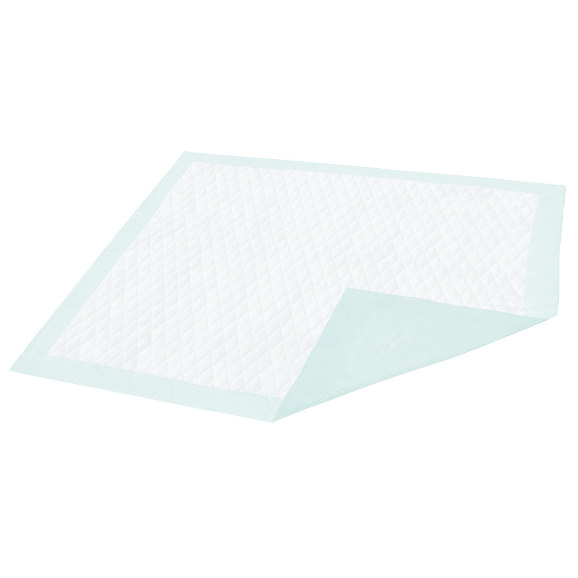 Dignity® Light Absorbency Underpad, 23 x 26 in. (150 Units)