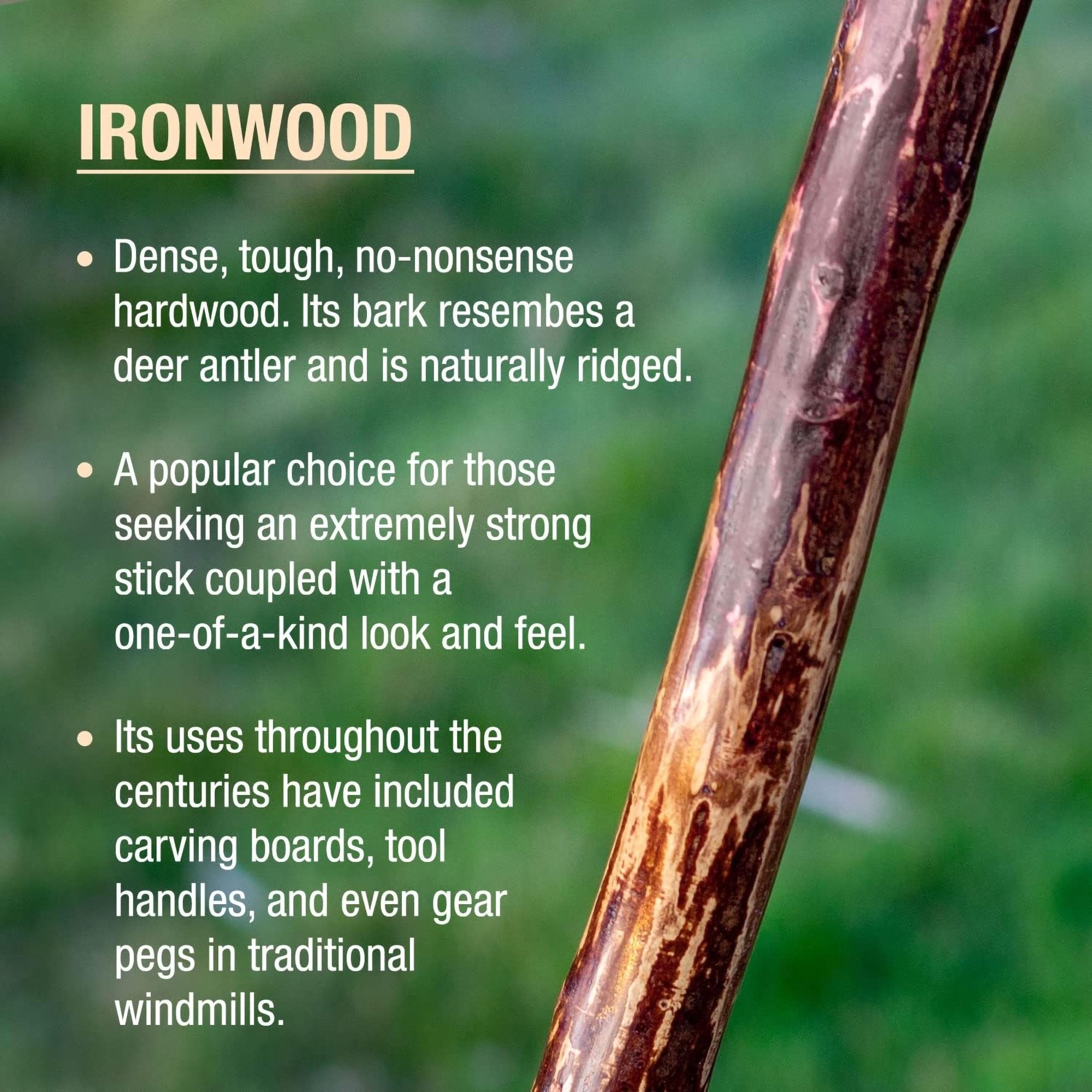 Brazos™ Ironwood Rustic Walking Stick, 58-Inch Height (1 Unit)