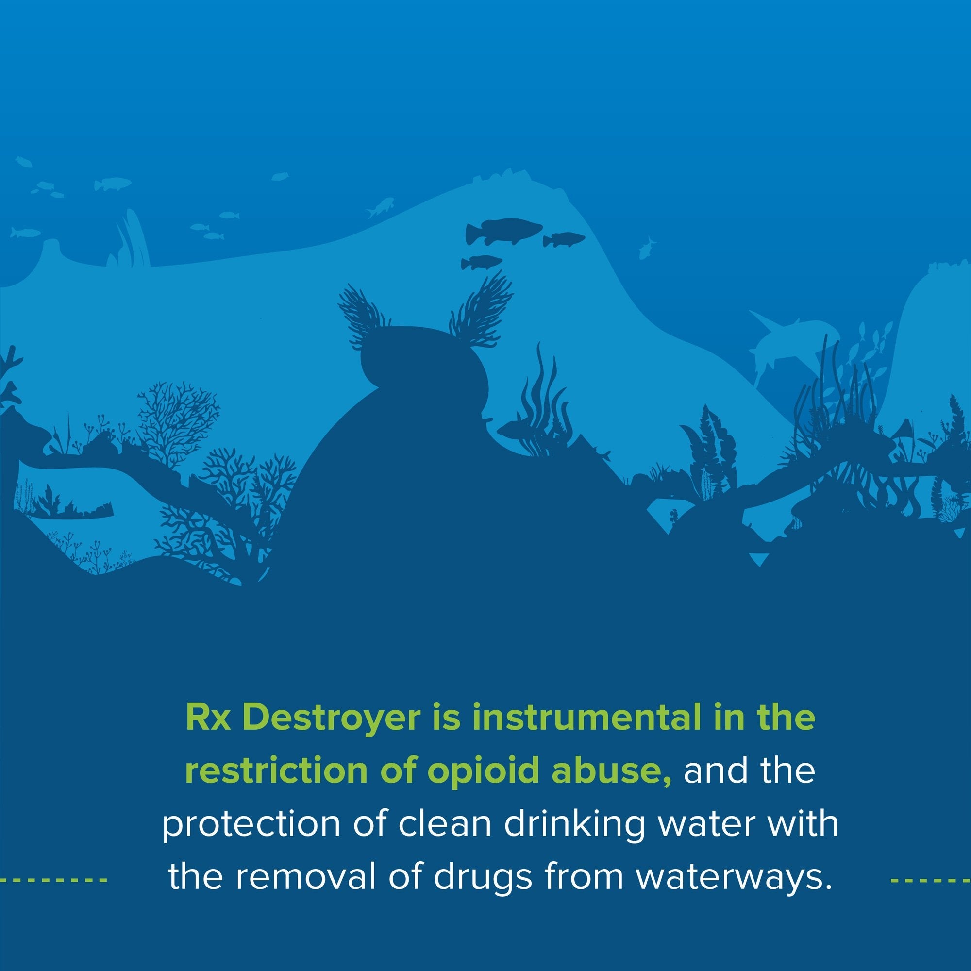 Rx Destroyer™ Drug Disposal Funnel (1 Unit)