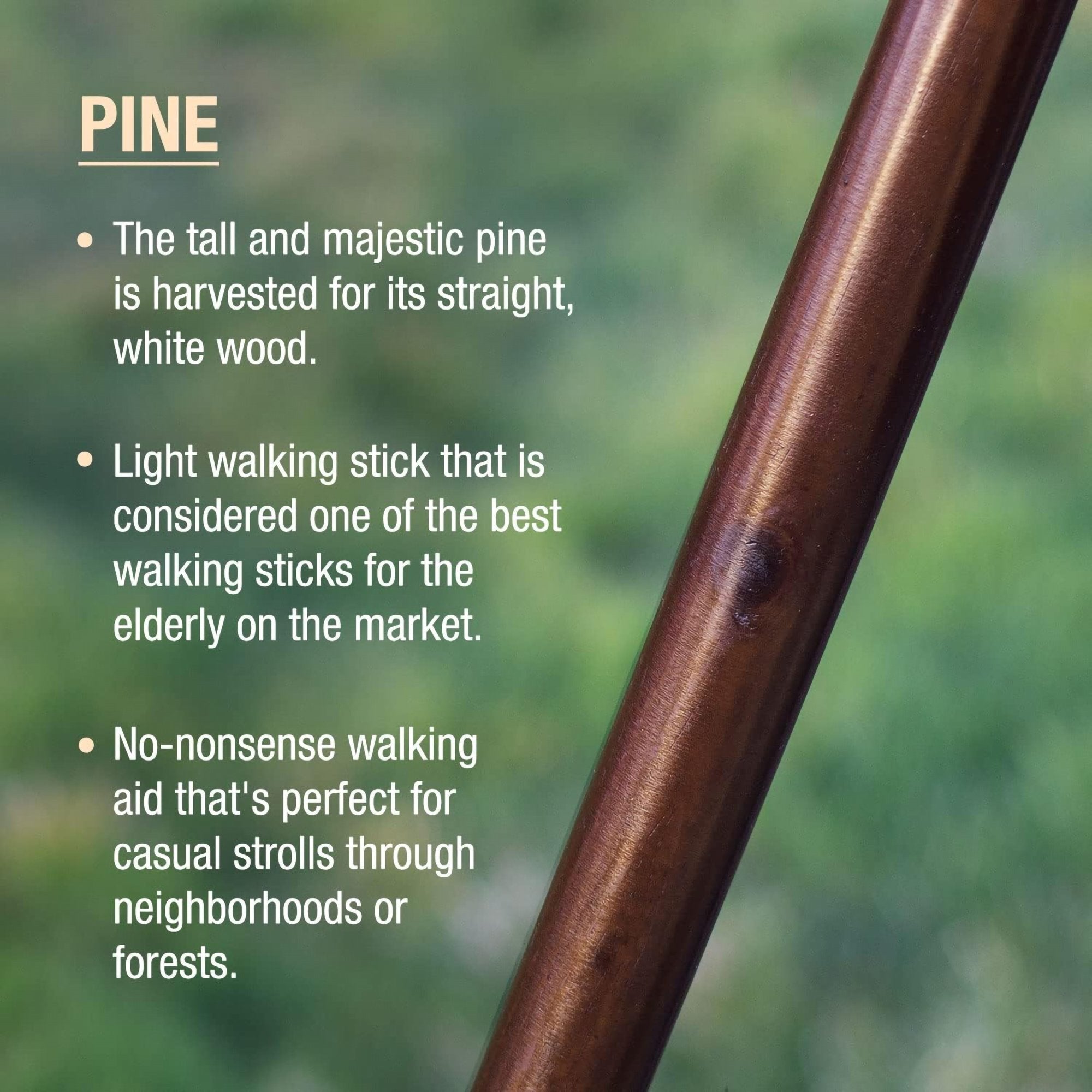 Brazos™ Traditional Straight Pine Handcrafted Walking Stick, 55-Inch, Brown (1 Unit)