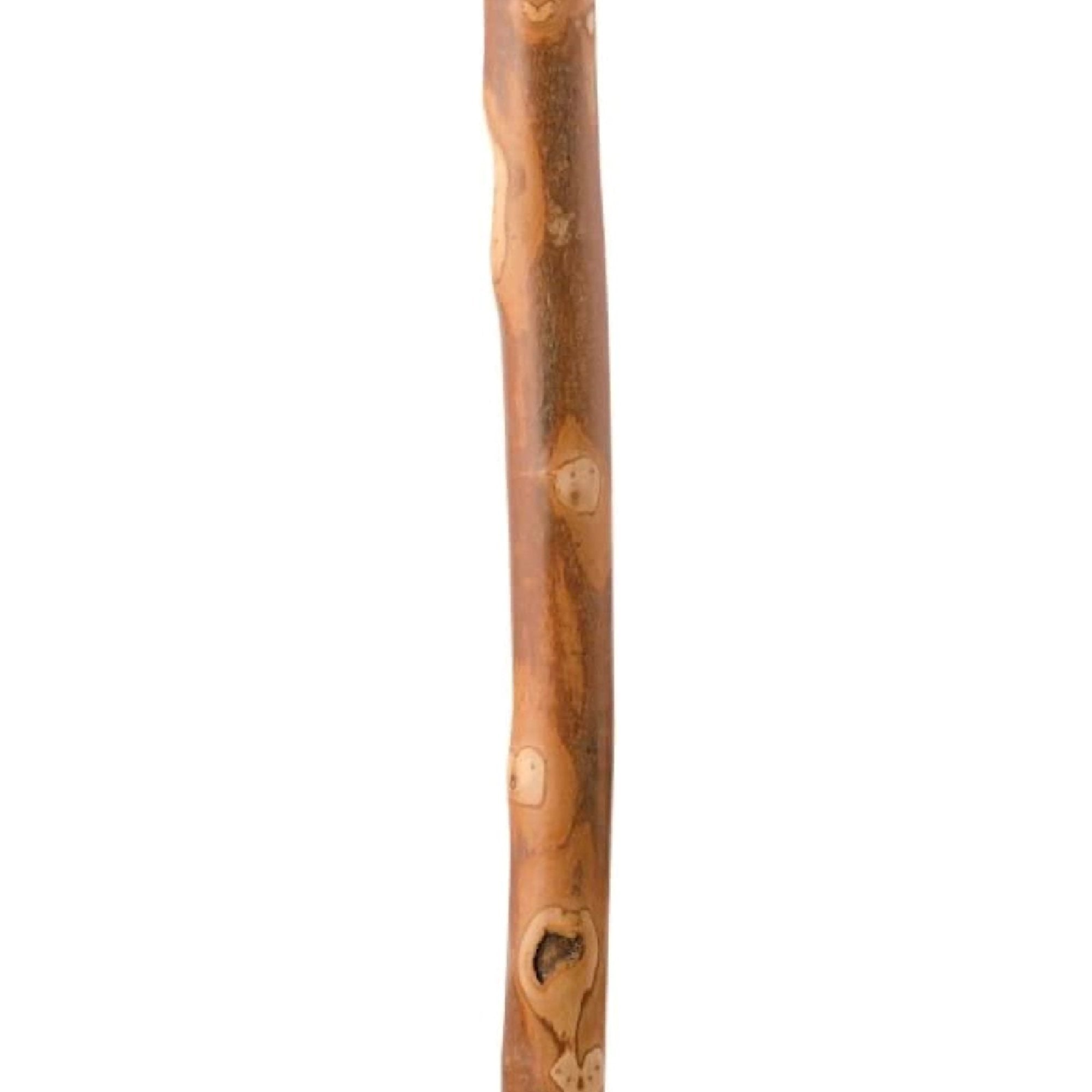Brazos™ Sapling American Hardwood Free-Form Walking Stick with Compass, 55-Inch Height, Brown (1 Unit)