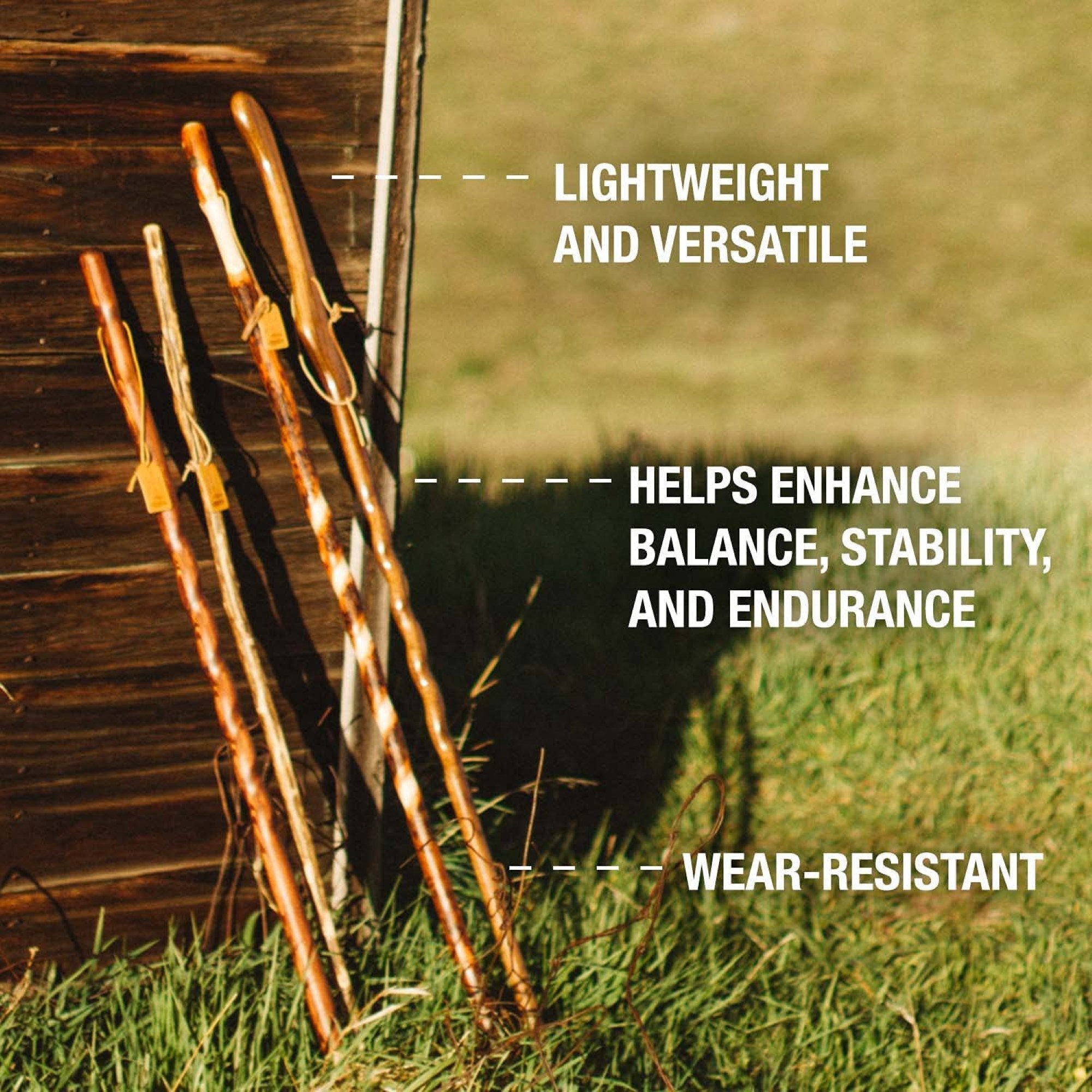 Brazos™ Twisted Oak Backpacker Handcrafted Walking Stick, 58-Inch Height (1 Unit)
