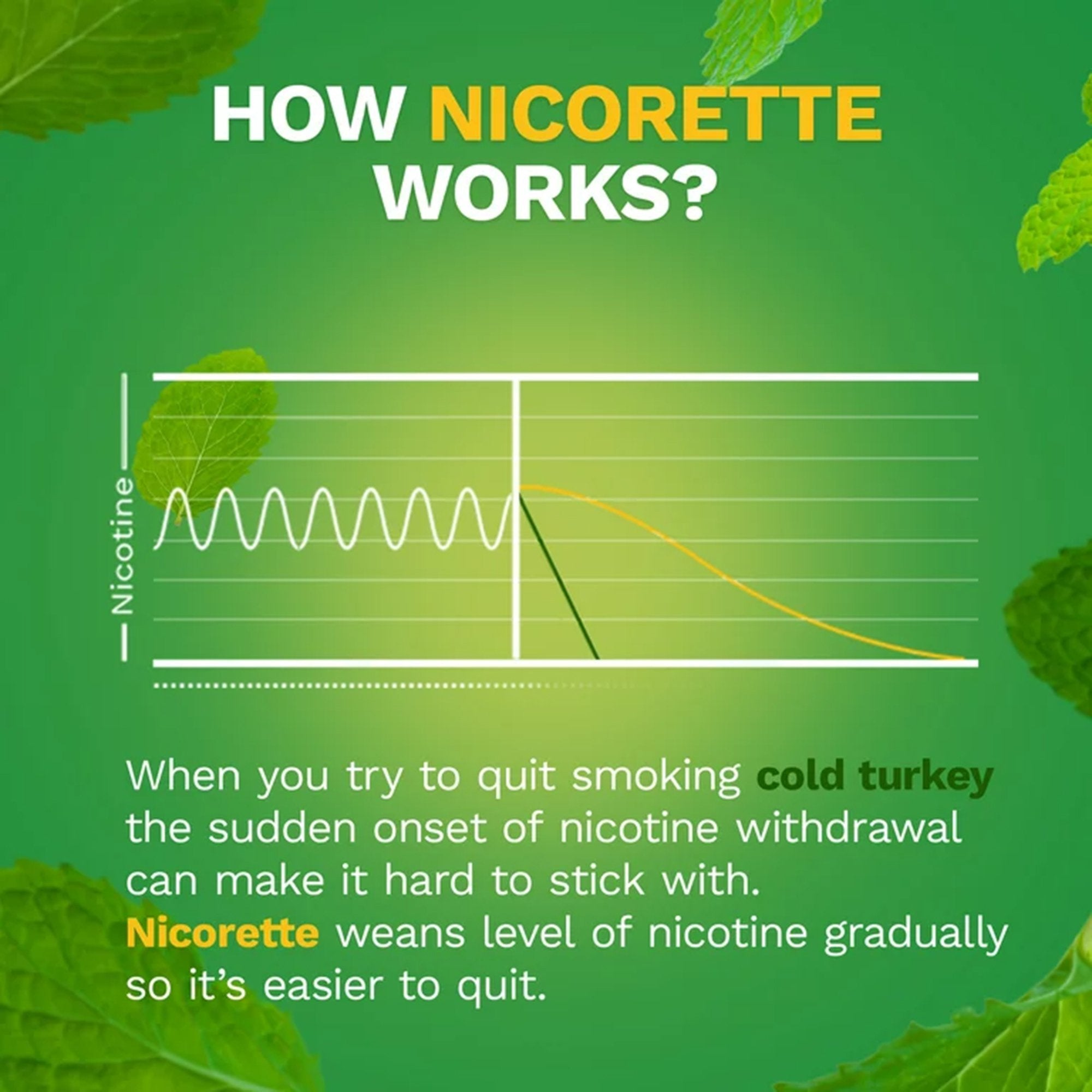 Nicorette Stop Smoking Aid Gum 4 mg Spearmint Burst with a Hint of Chamomile (100 Units)