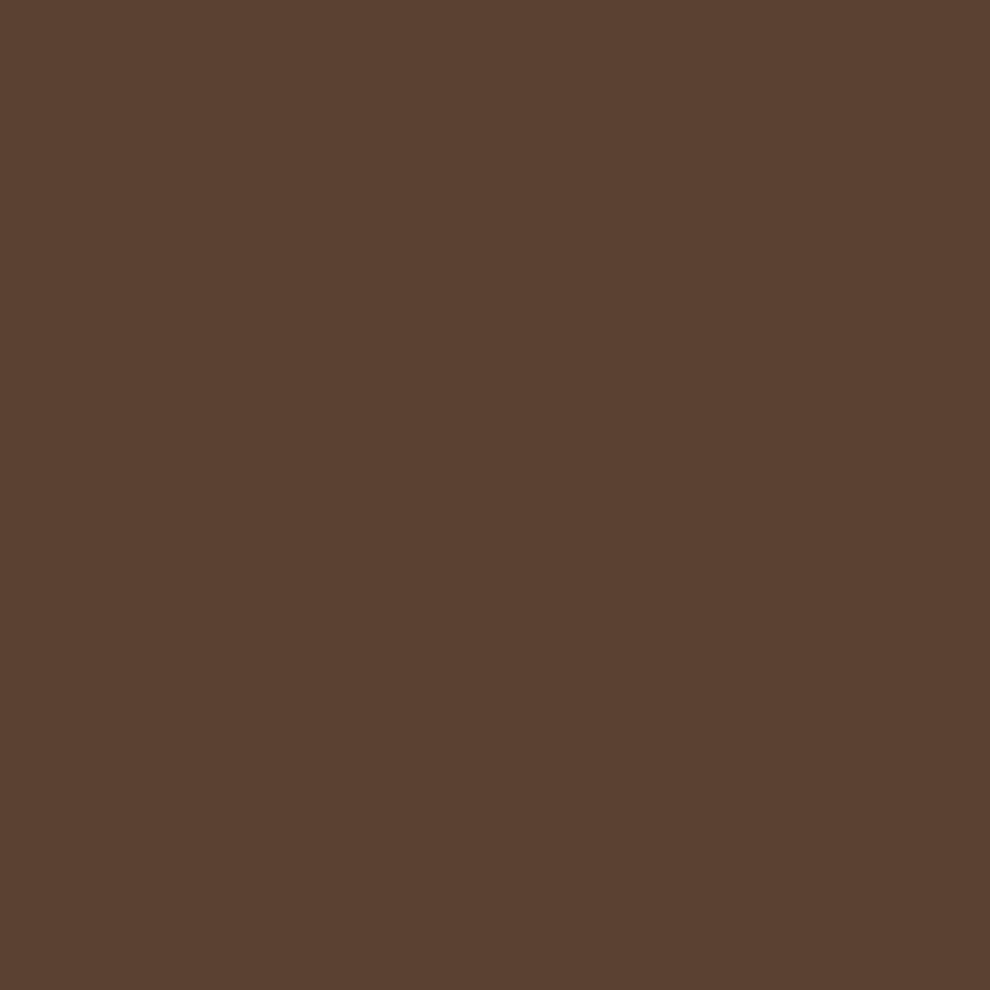 Brazos™ Twisted Oak Derby Cane, 37 Inch Height, Flint Color (1 Unit)