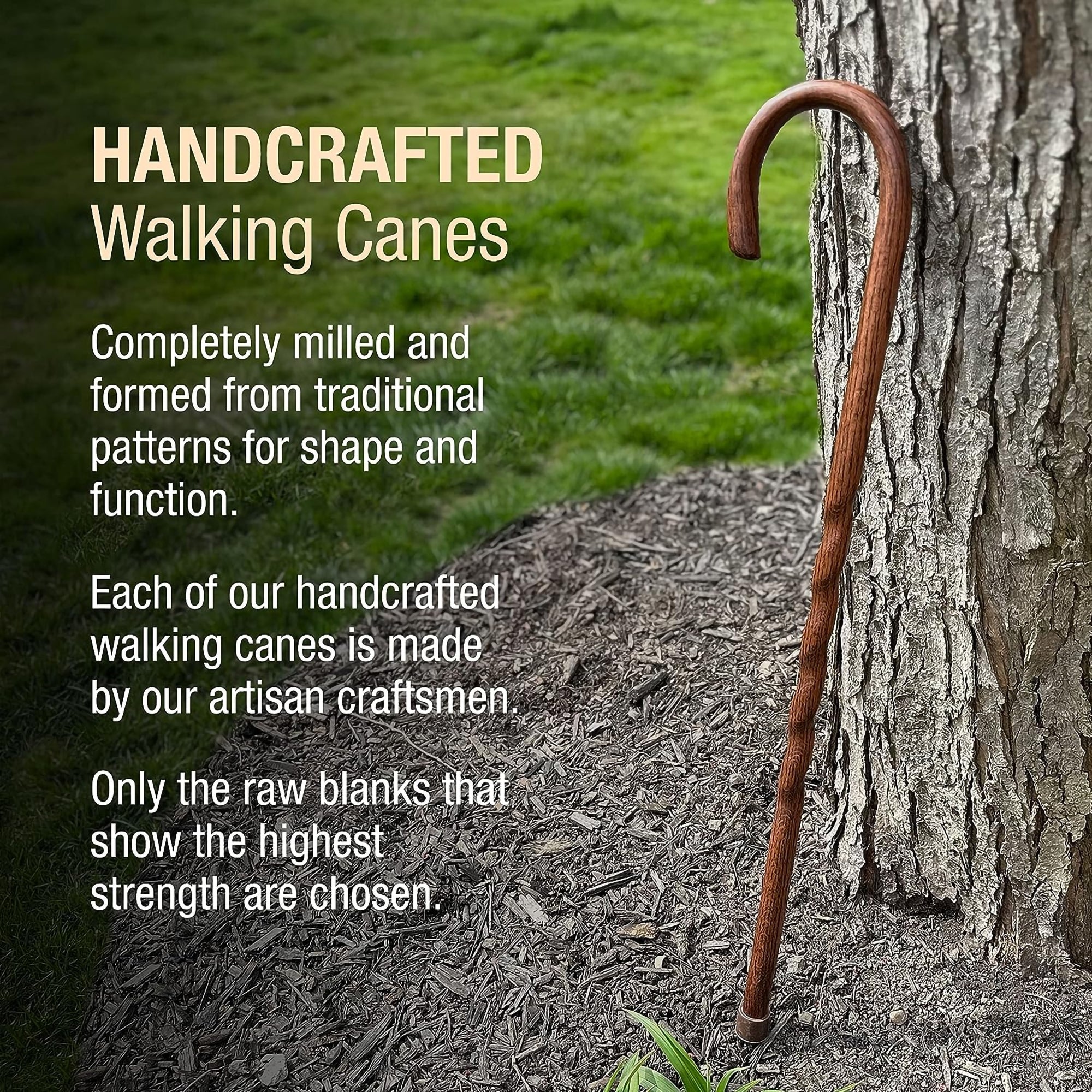 Brazos™ Twisted Oak Traditional Handcrafted Walking Cane, 37-Inch (1 Unit)