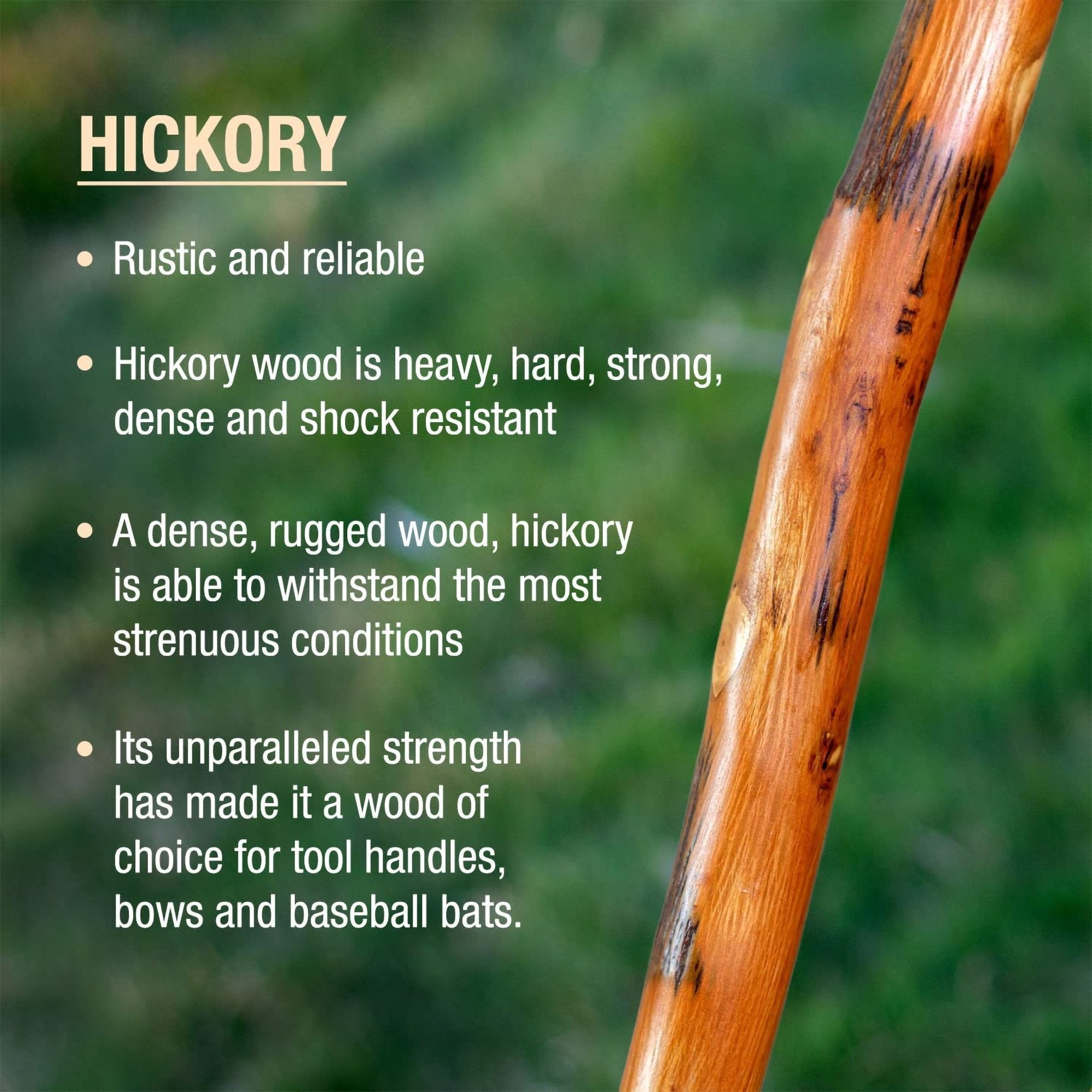 Brazos™ Free Form Safari Walking Stick, 55-Inch Height (1 Unit)