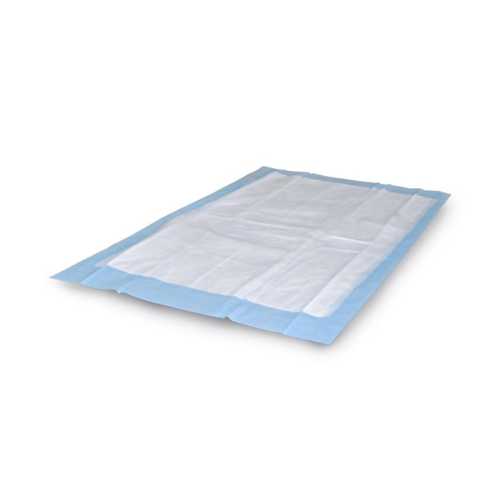 SPC™ Super Absorbent Quilted Underpad, 30 x 36 Inch (10 Units)