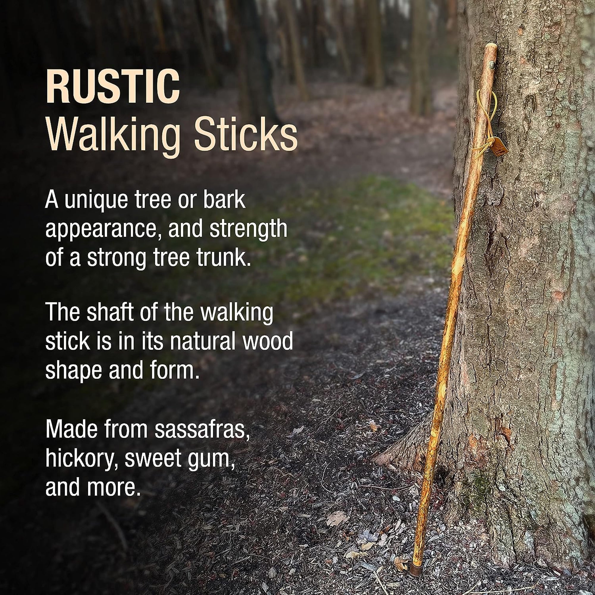 Brazos™ Assorted Hardwood Rustic Walking Stick, 41-Inch (1 Unit)