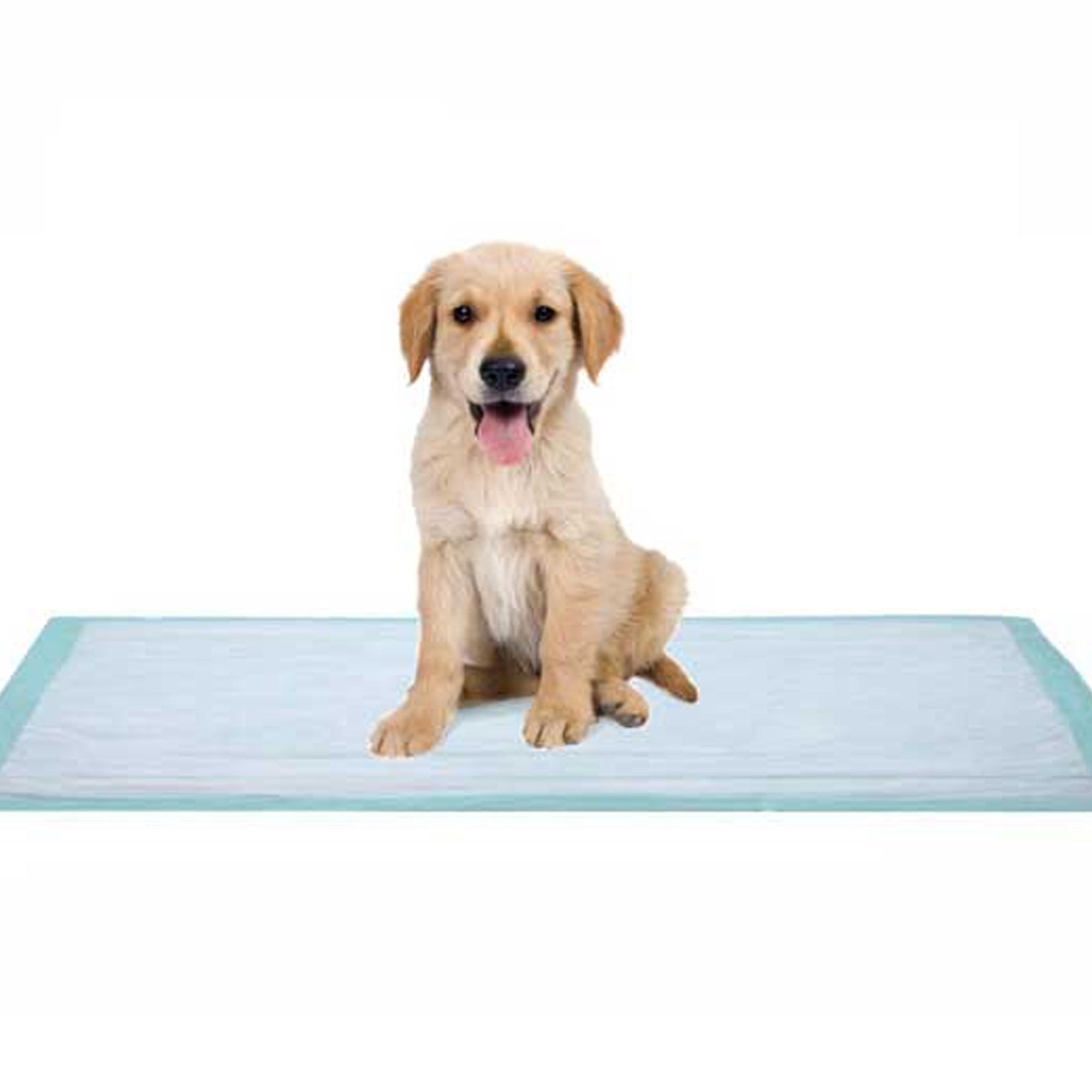 Dukal Fluff Underpad, 17 x 24 Inch (100 Units)