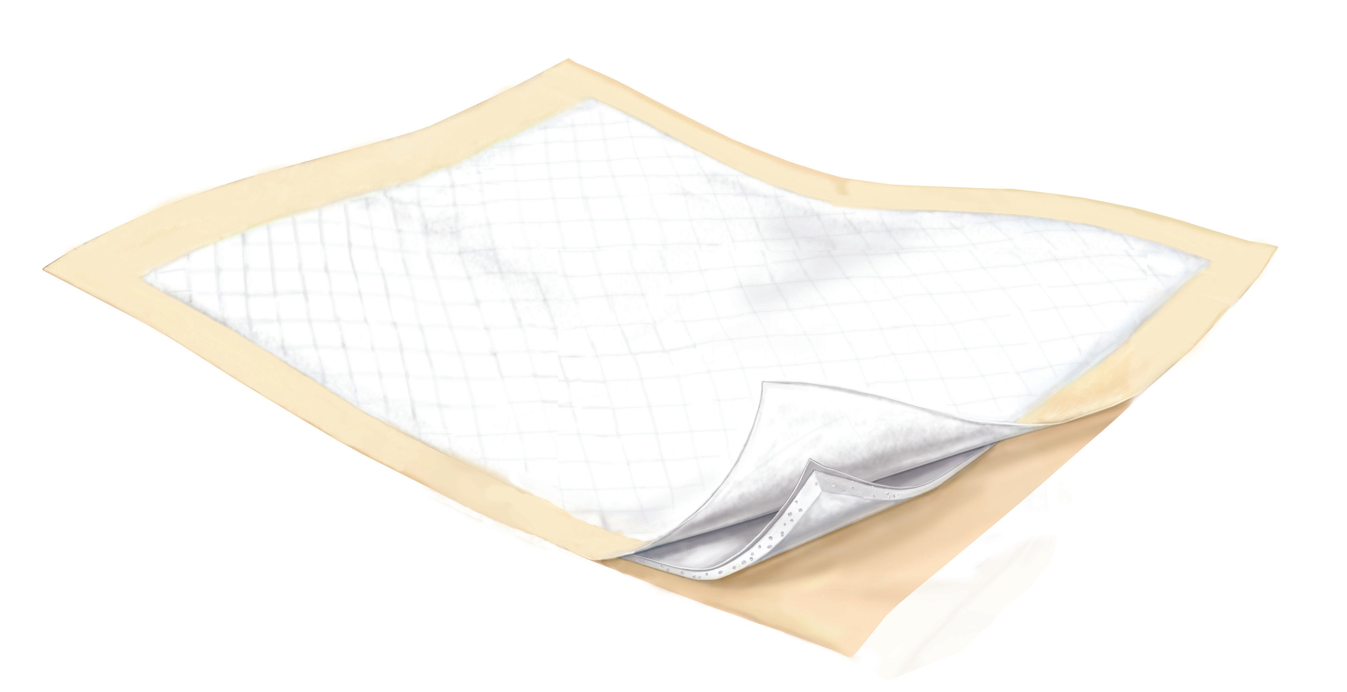 Wings Plus Underpads, Disposable, Heavy Absorbency, 23" x 36" (24 Units)