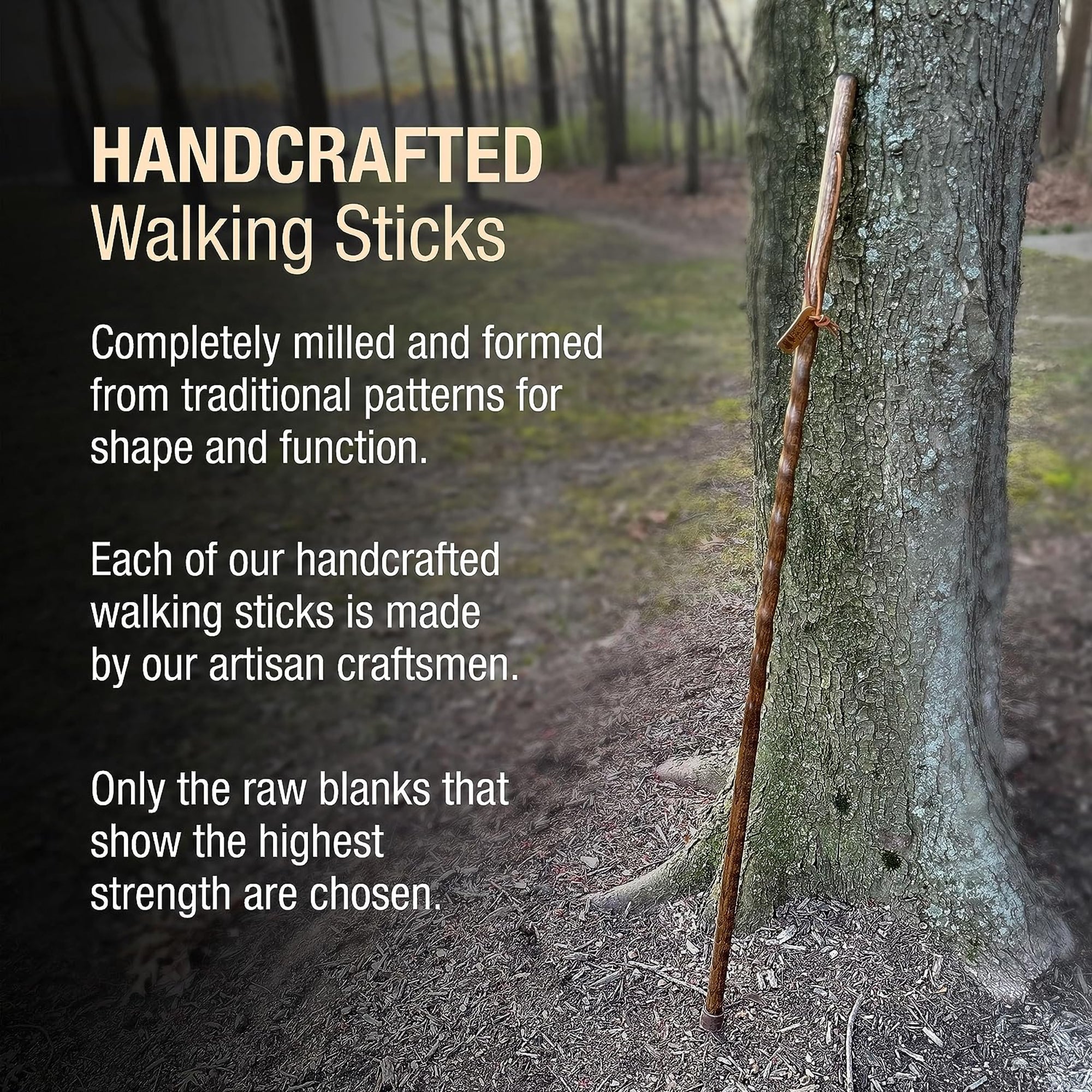 Brazos™ Twisted Pine Handcrafted Walking Stick, 55-Inch (1 Unit)