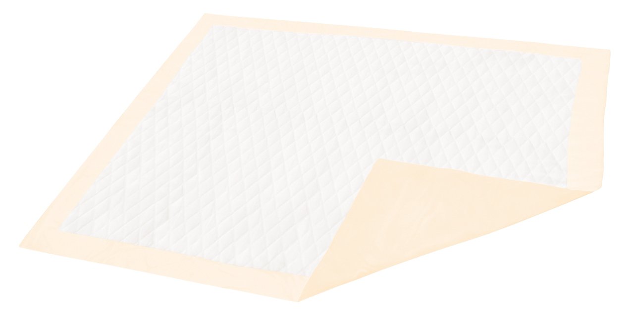 Dignity® Ultrashield Premium Superabsorbent Underpad, 30 x 36 Inch (100 Units)