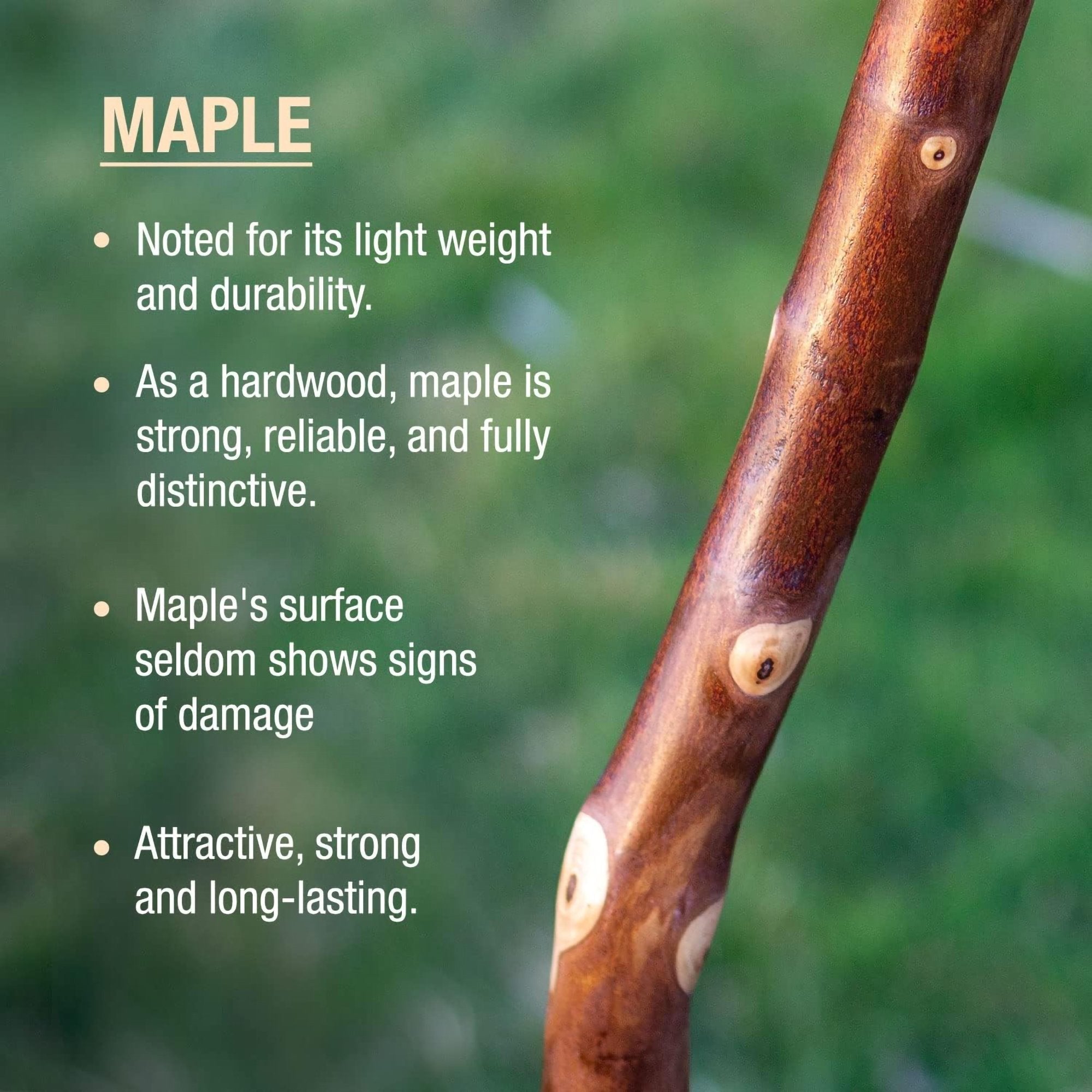 Brazos™ Maple Rustic Walking Stick, 55-Inch Height (1 Unit)