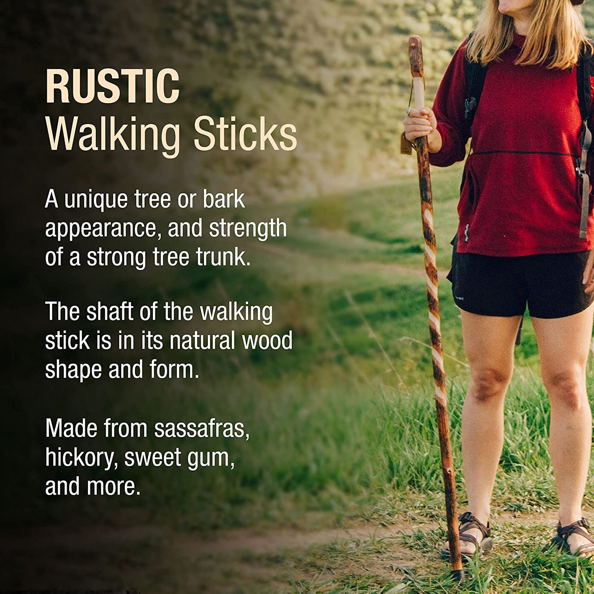 Brazos™ Twisted Hickory Rustic Walking Stick, 55-Inch Height (1 Unit)