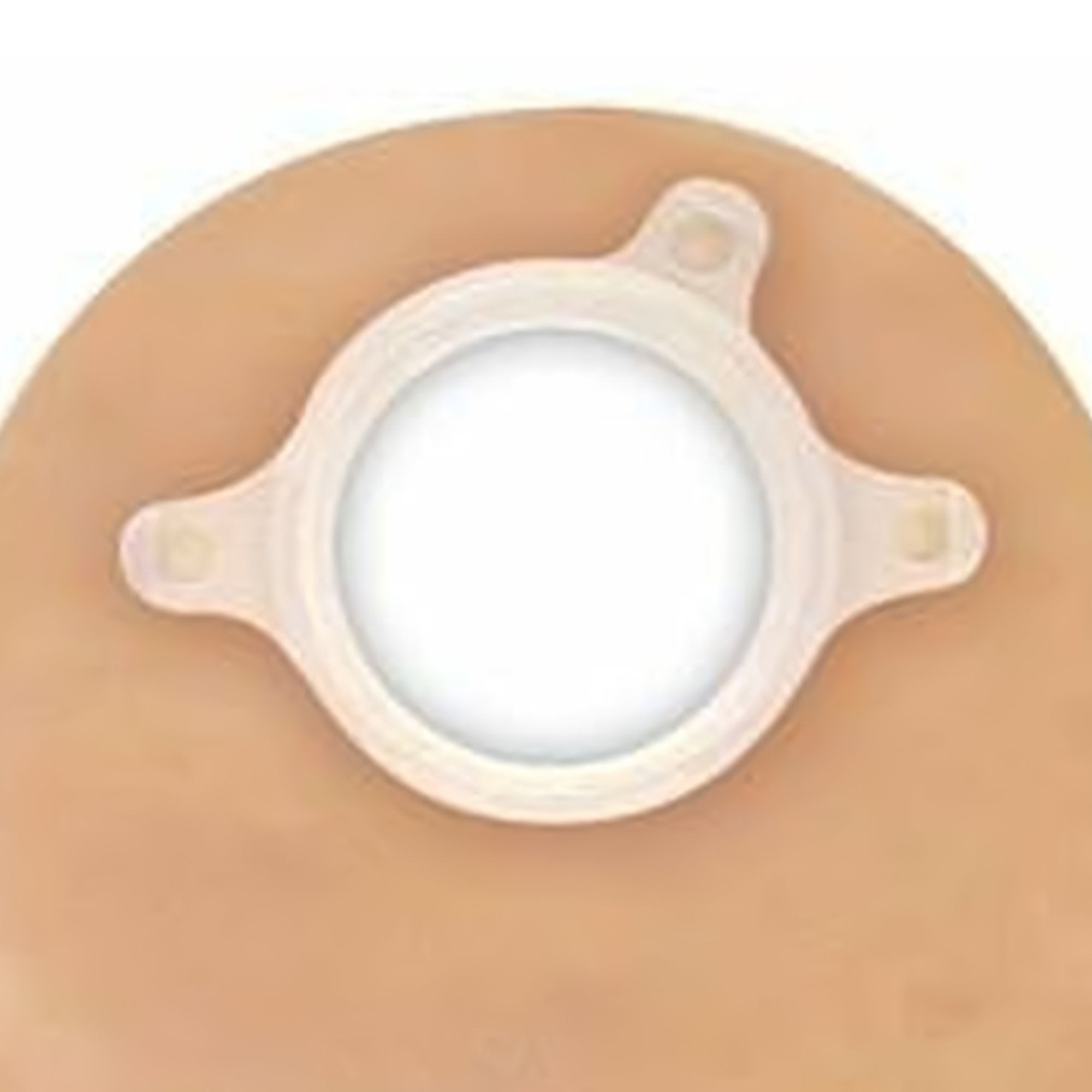 Natura® Drainable Transparent Ostomy Pouch, 12 Inch Length, 2¼ Inch Flange (10 Units)