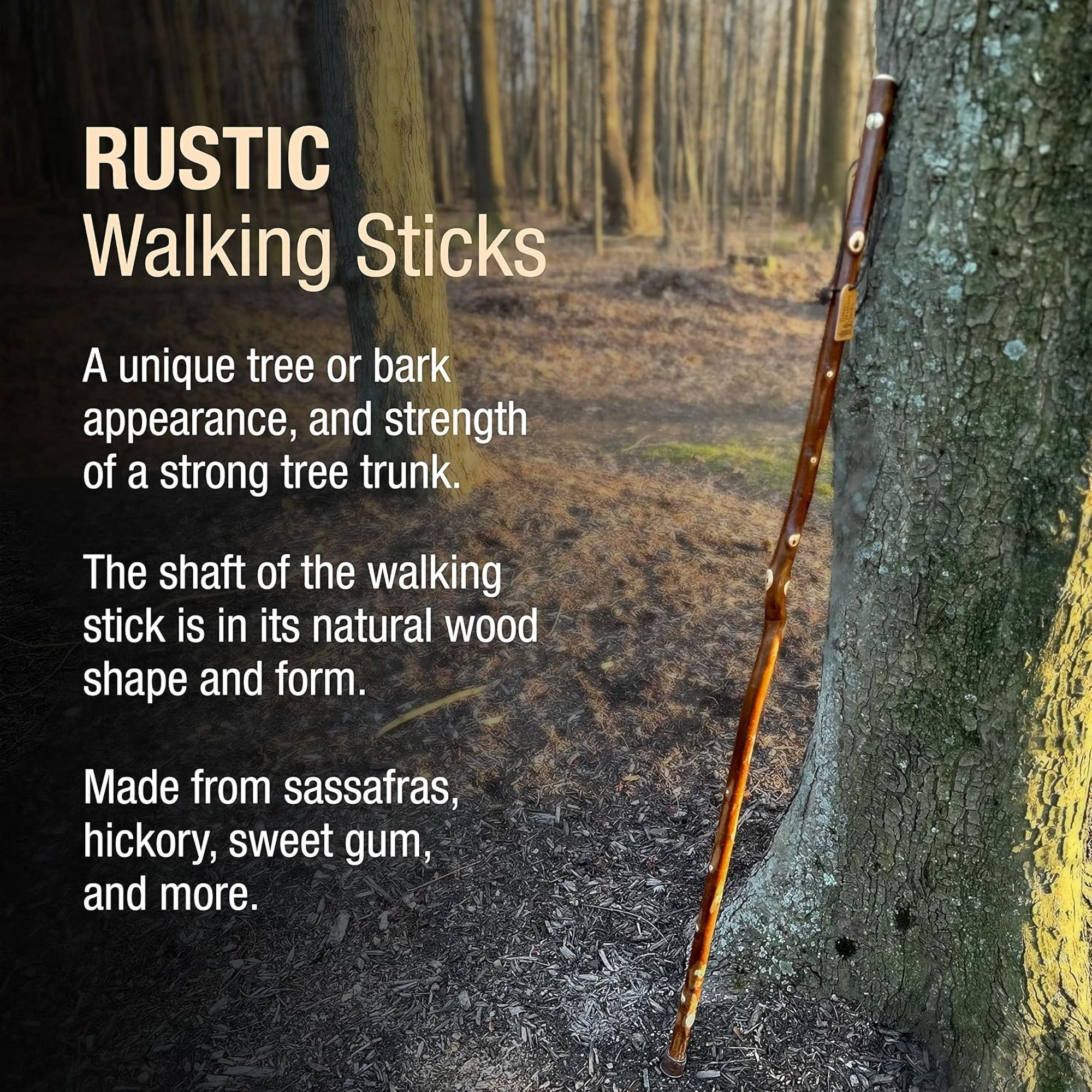 Brazos™ Maple Rustic Walking Stick, 55-Inch Height (1 Unit)